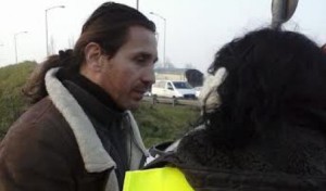 povia