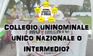 consultazione_collegi