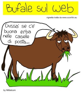 bufala