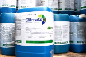 glifosato (1)