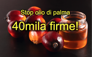 olio-di-palma-40mila-firme