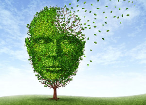 Alzheimer, possibile recuperare i ricordi ‘perduti’. Stimolando specifici neuroni del cervello