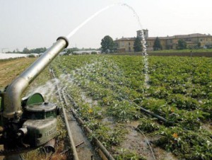 “Rete collusiva che si spartiva appalti” a Potenza: 11 arresti all’Ente irrigazione di Puglia, Lucania e Irpinia