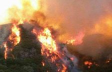 Incendi nei boschi: divieto di spegnerli per gli ex forestali. Il documento.
