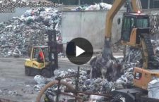 Traffico di rifiuti in Toscana, l’intercettazione shock: “Che muoiano i bambini, non mi importa”