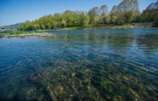 Effetto Coronavirus a Torino: l’acqua del fiume Po è limpida