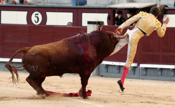 leal-incornato-696x427
